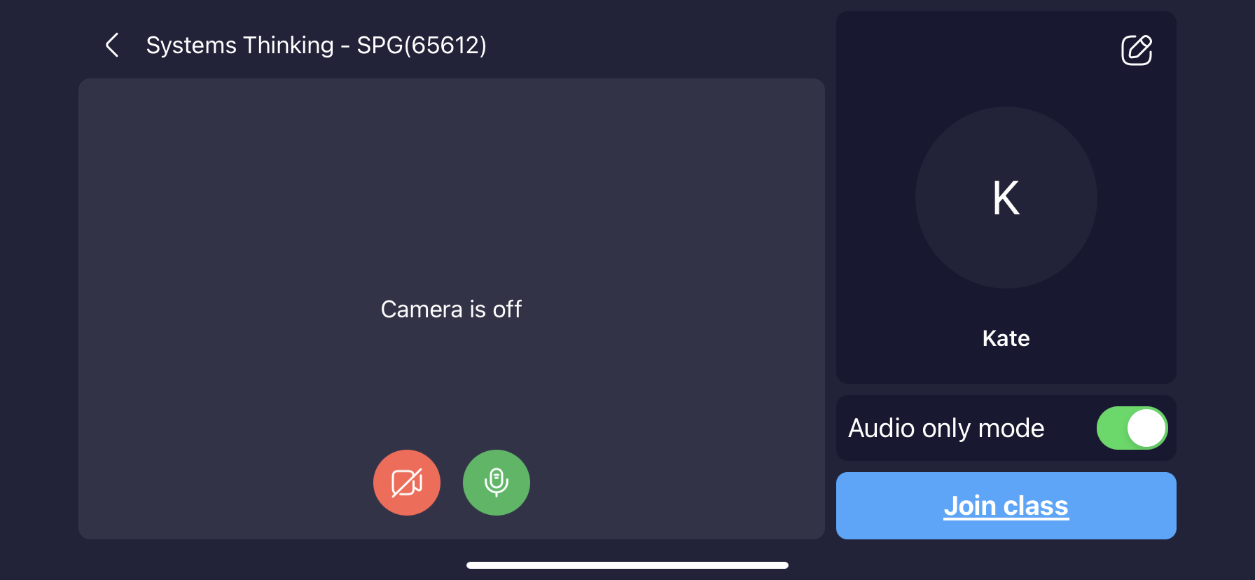 AudioOnlyMode-2.PNG