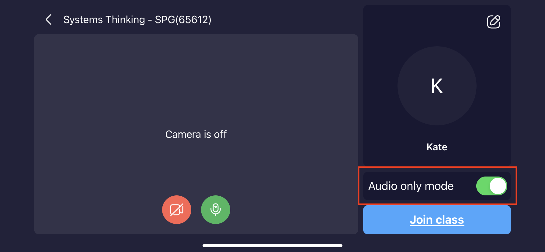 AudioOnlyMode-2.PNG