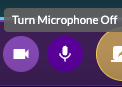 MicrophoneOn.png